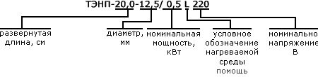 Схема исполнения ТЭНП